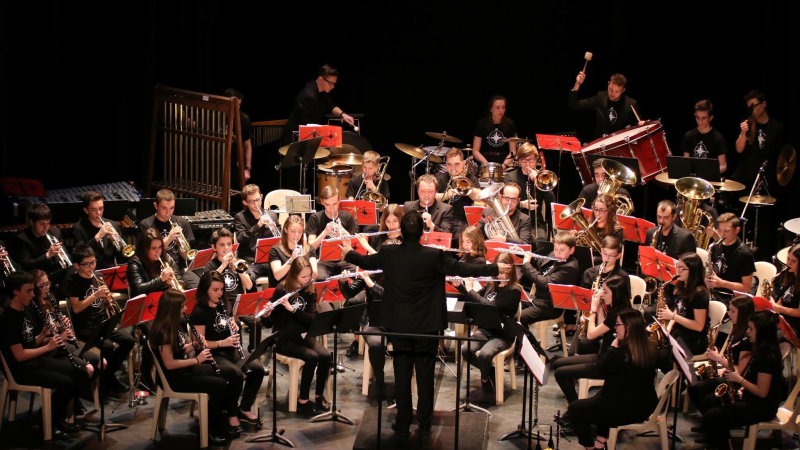 Ensemble musical de l'Armagnac