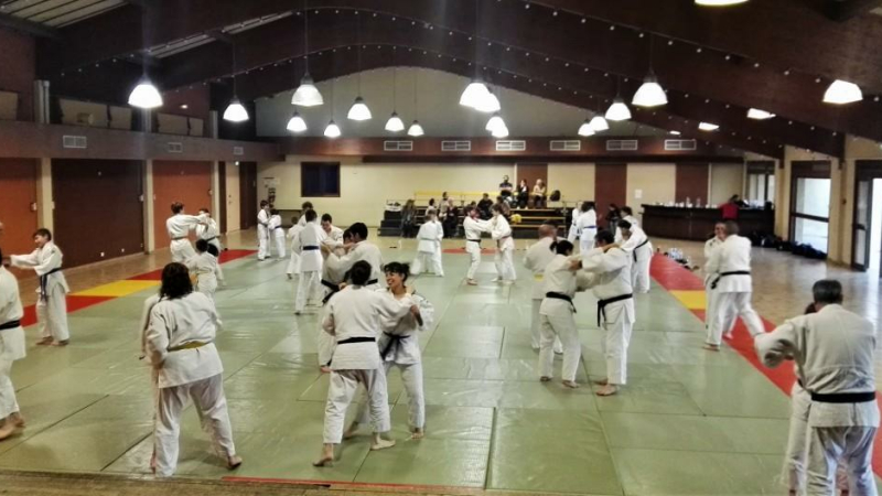 Cathy Arnaud et les judokas vicois