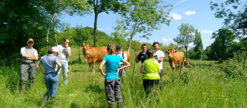 La prairie gersoise a triomphé haut la main!