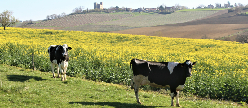 Agriculture : dates des prochaines formations