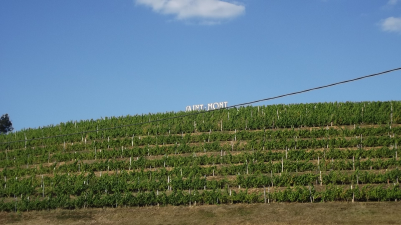 Saint Mont vignoble en fête, les 29, 30 & 31 mars