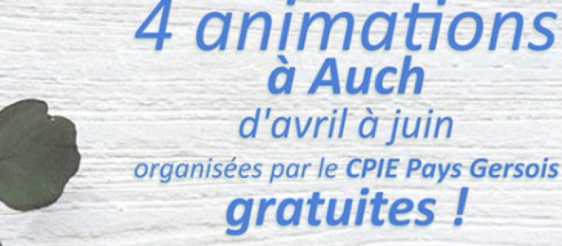 Ateliers, trucs et astuces pour voir la vie en vert !