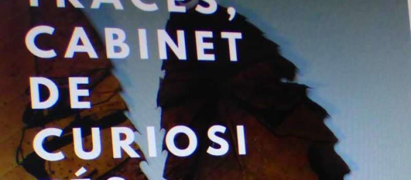 Exposition Traces , Cabinet de Curiosités