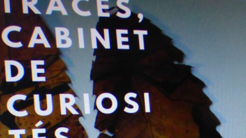 Exposition Traces , Cabinet de Curiosités