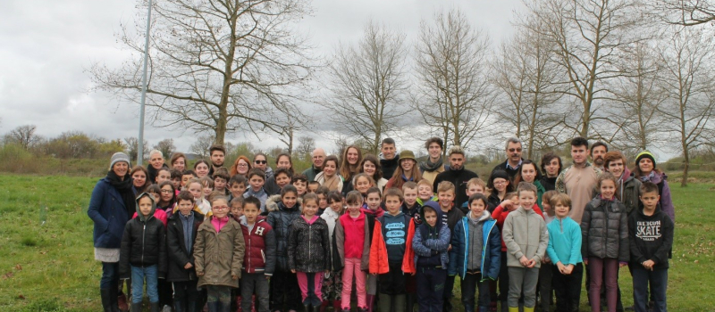 Les élèves plantentune forêt