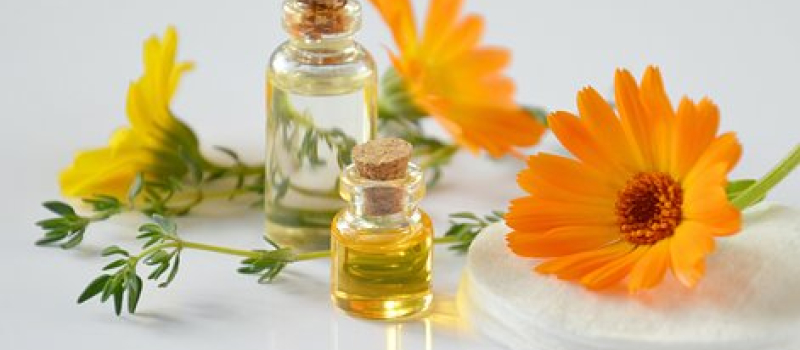 Deux ateliers gratuits en Laboratoires