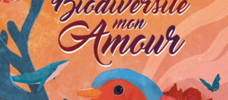 Films d'environnement au Gascogne