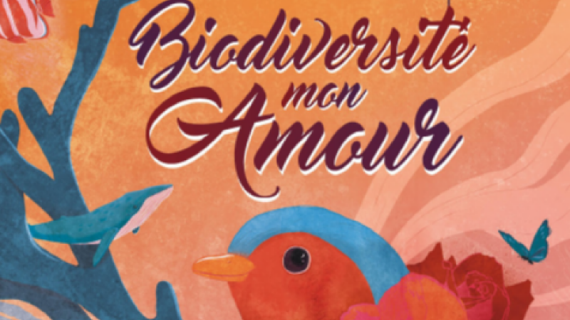 Films d'environnement au Gascogne
