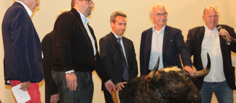 Tauromachie : précision