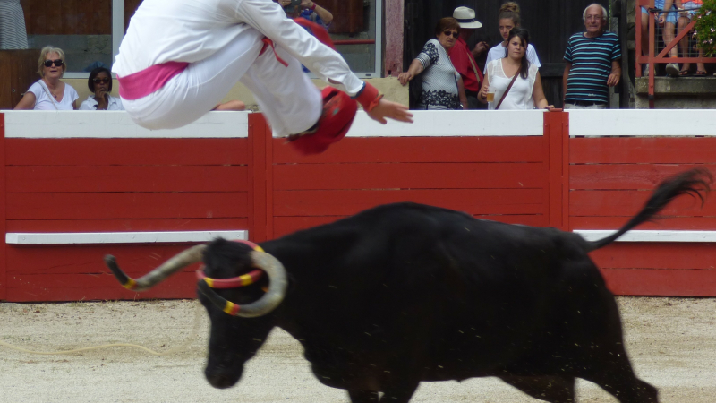 Assemblée générale comité des fêtes et du club taurin