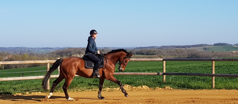 L'Écurie Wendy Terras