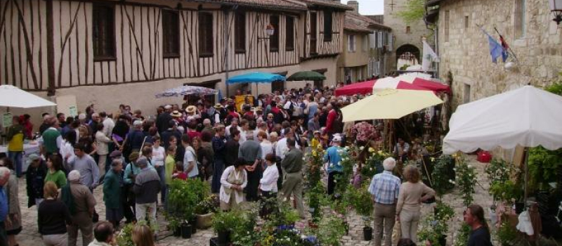 21ème Marché aux fleurs
