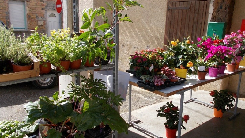 Marché aux fleurs