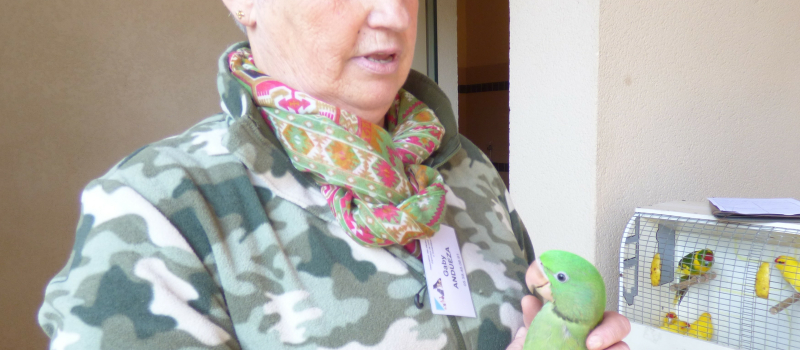 Marché aux animaux de compagnie