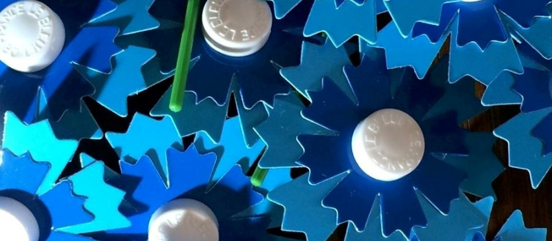 Bleuet de france : campagne nationale d’appel aux dons