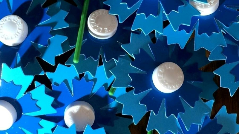 Bleuet de france : campagne nationale d’appel aux dons