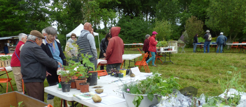 Le 8ème Troc de plantes au jardin partagé