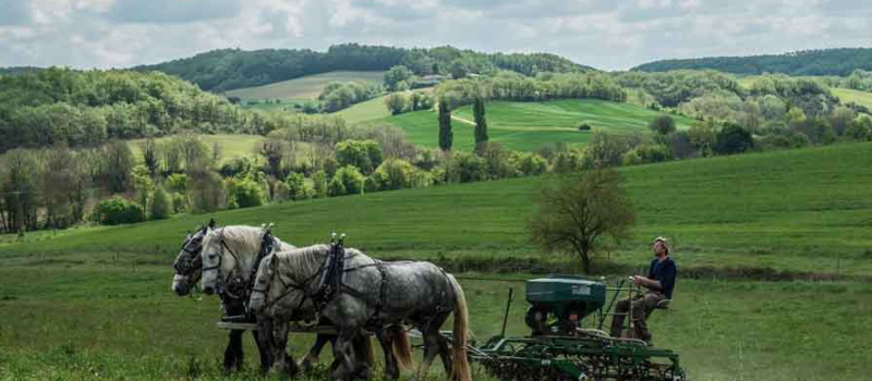 Congrès Mondial d'Agroforesterie 