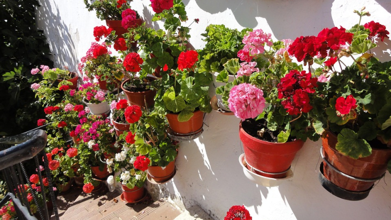  Concours communal des Maisons Fleuries 