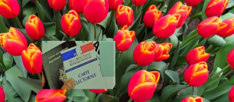 On fait quoi ce week-end ?...