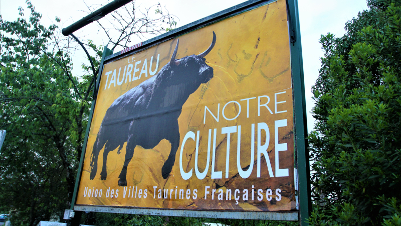 "La Féria de Vic est universellement connue"