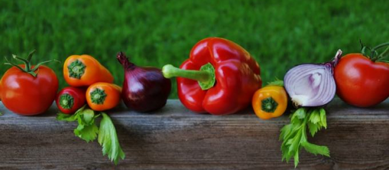 L'agriculture biologique française en plein boom