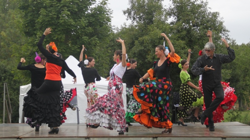 Sevillanas y flamenco : spectacle à la salle polyvalente