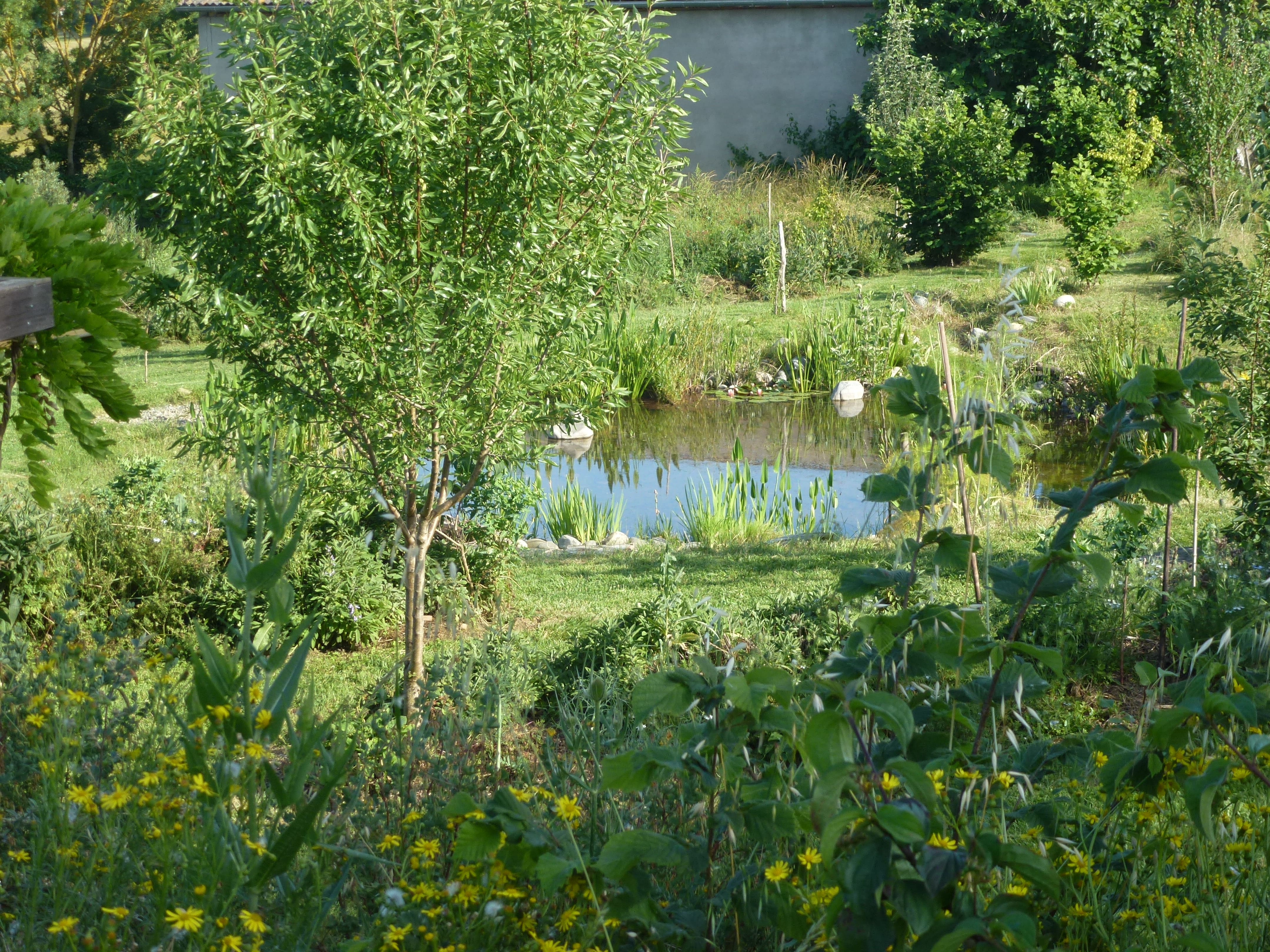 Un jardin au naturel