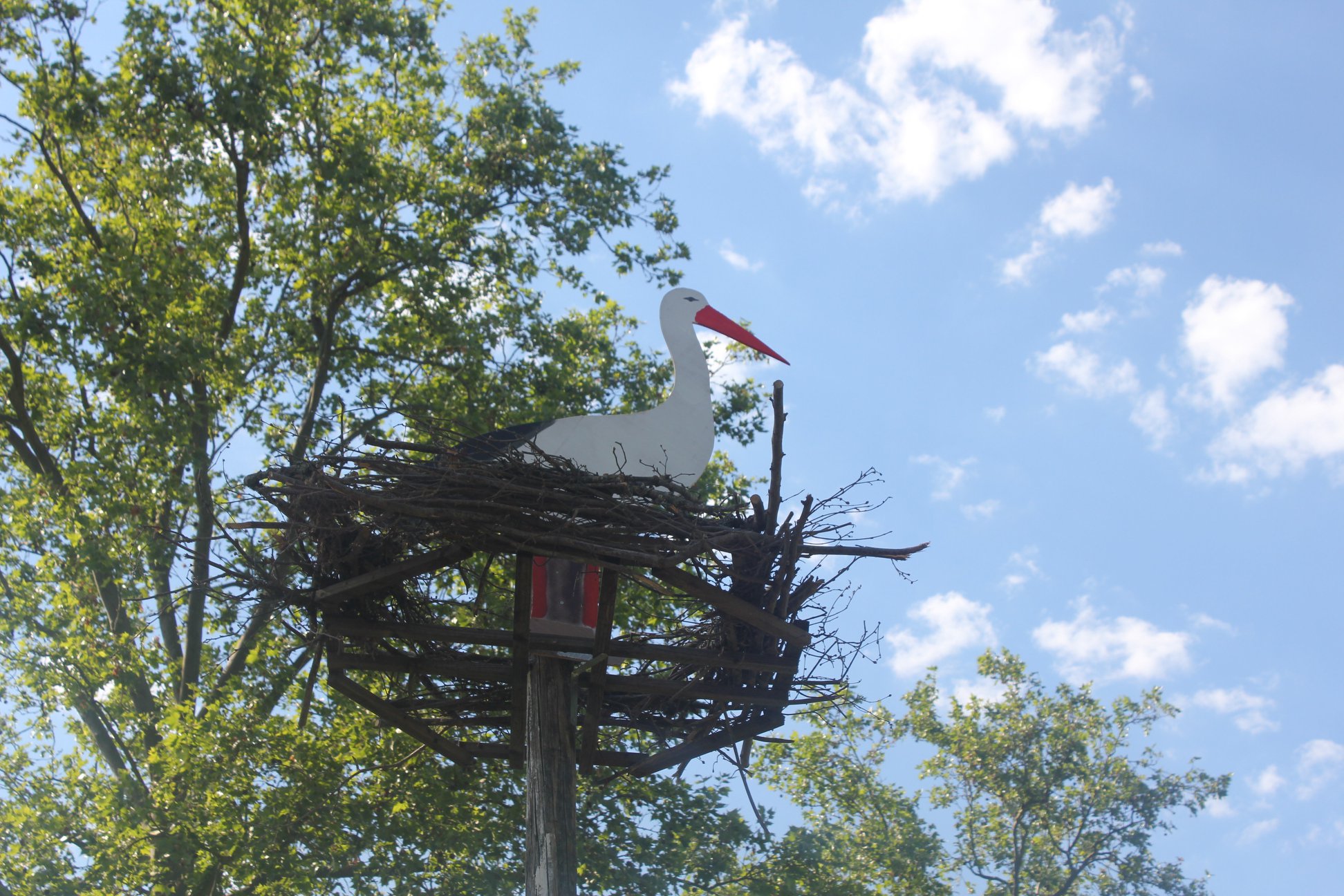 Un nid de cigogne comme vous n'en avez jamais vu d'aussi près.