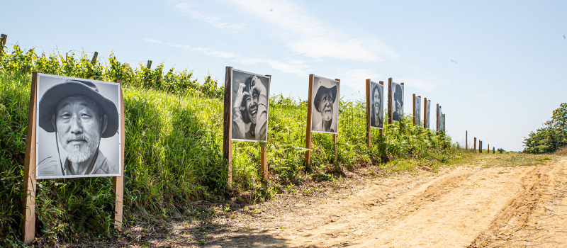 «Portraits sur le chemin» à Sainte-Christie-d’Armagnac 