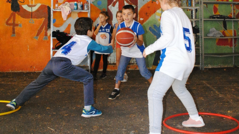 Sports à l'école. Le basket joue collectif