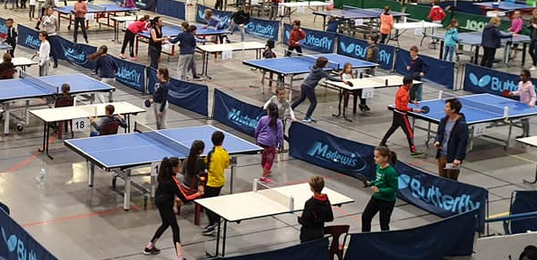 Initiation au tennis de table