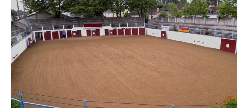 Castelnau Rivière Basse: Novillada concours de ganaderias dimanche 7 juillet 