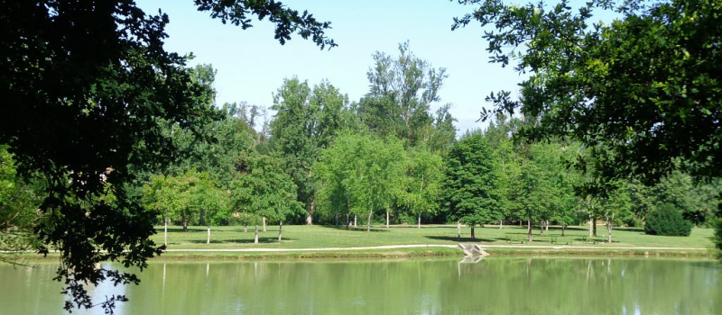 Randonnée au Parc de Gauge