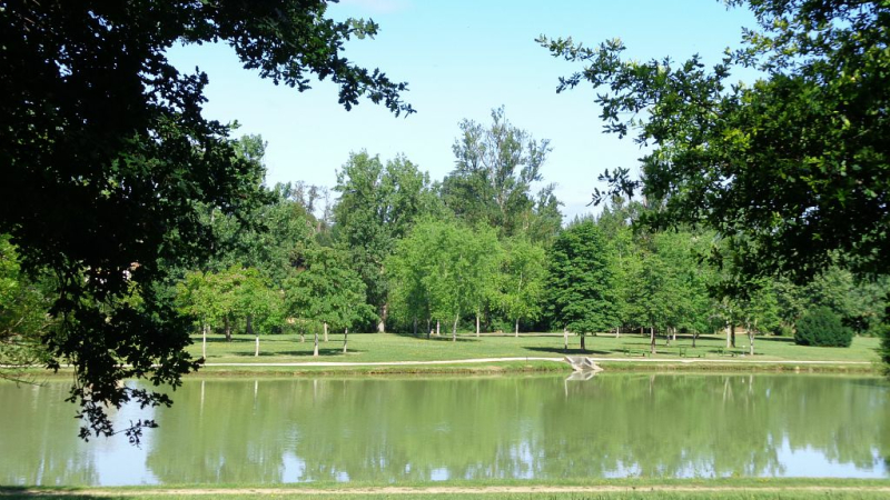 Randonnée au Parc de Gauge