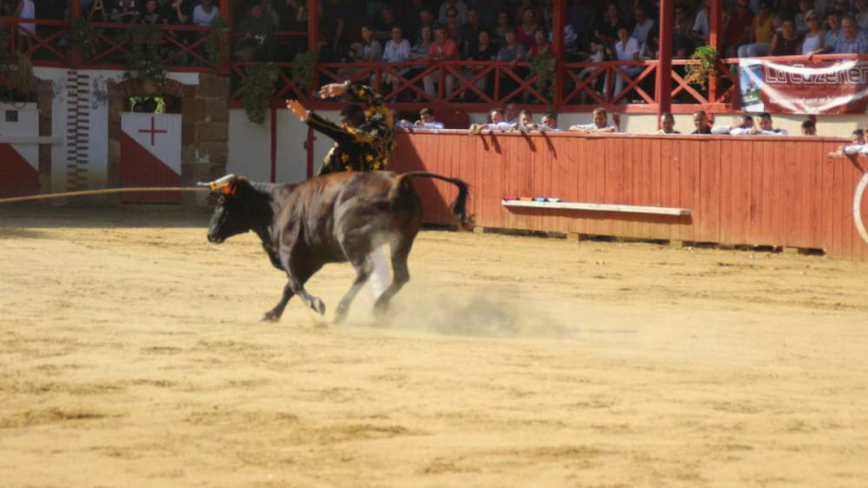Course landaise de promotion