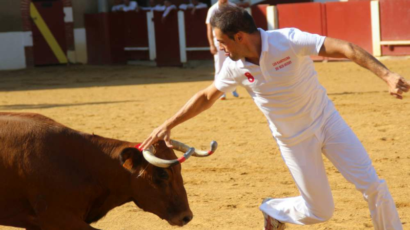 Concours de cocardes et course landaise