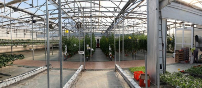 Défense de l'agriculture biologique