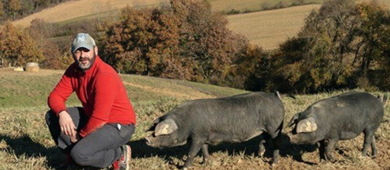 Le porc noir gascon sauvé fait la fête