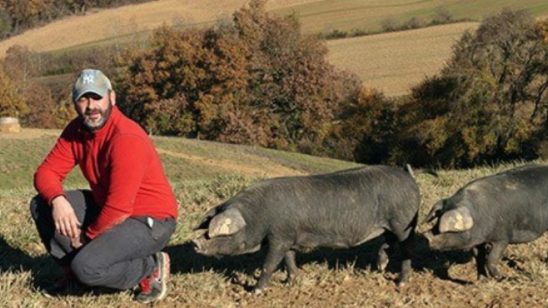 Le porc noir gascon sauvé fait la fête