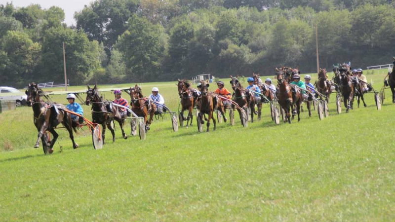 Courses de chevaux et escargolade