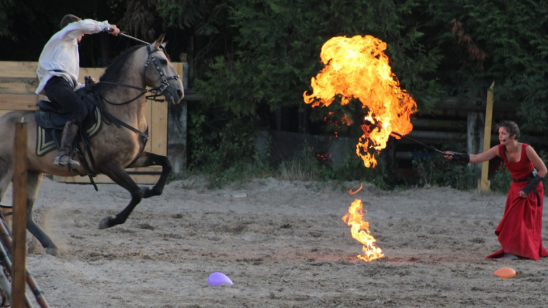 Découvrez l'Arion Horse Sow avec son spectacle équestre !