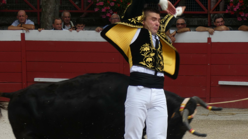 La course landaise du dimanche