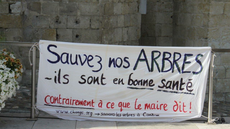 Les Amis des arbres toujours mobilisés