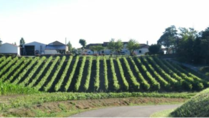 Marché à la ferme aux trois Domaines
