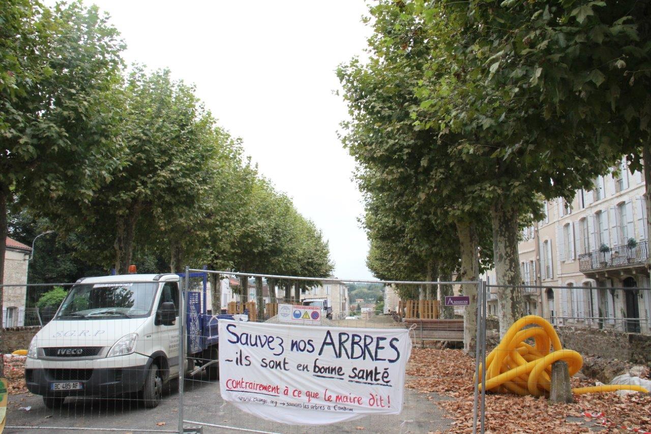 Photo Marc Le Saux