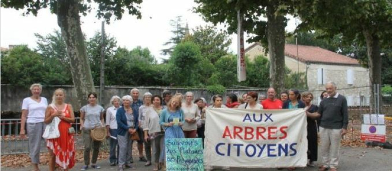 Le collectif "Sauvons les arbres de Condom" n'a pas été reçu par la sous-préfète