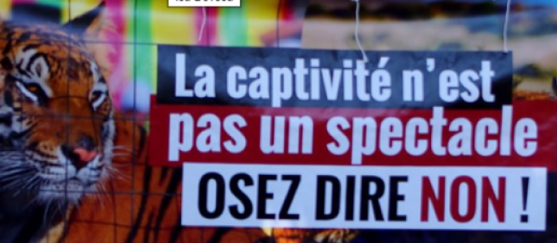 Journée mondiale pour la fin du spécisme