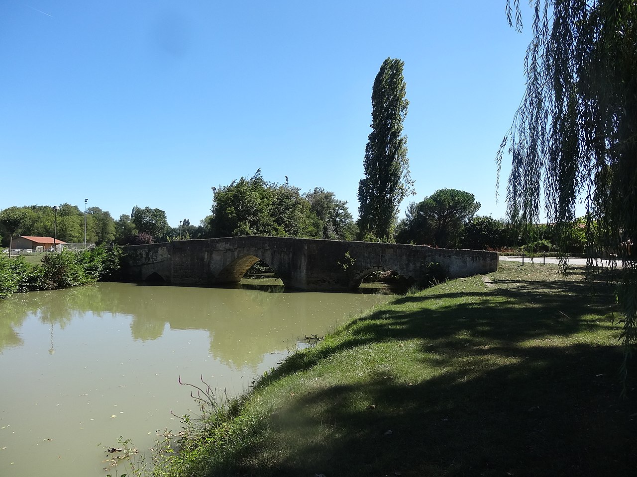 Le vieux pont à Pavie