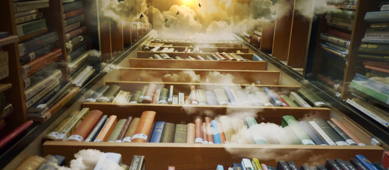 Dire et Lire à l'air, mais aussi un vide-bibliothèques